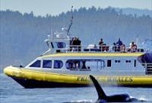 The Victoria Ocean Magic Tour